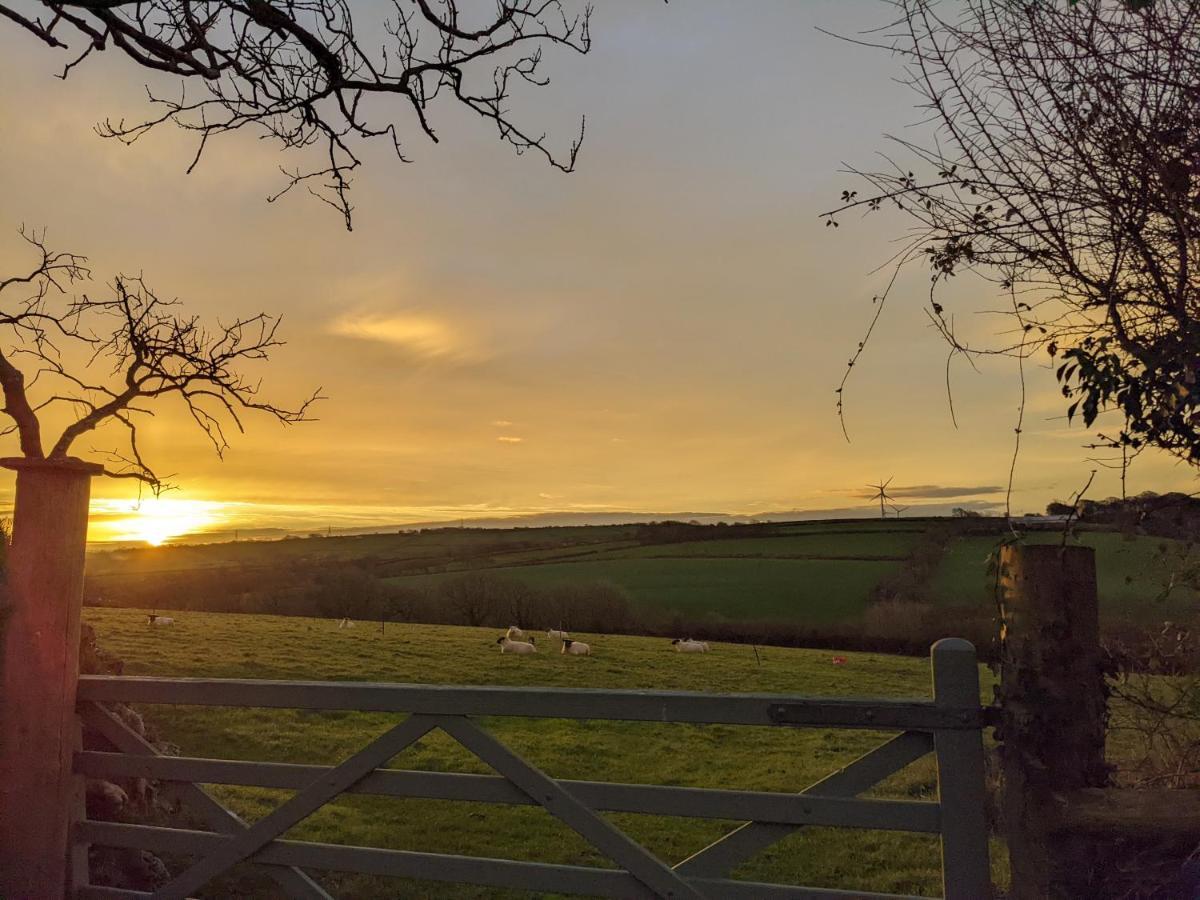 Immaculate Bell Tent Retreat North Devon بيدفورد المظهر الخارجي الصورة