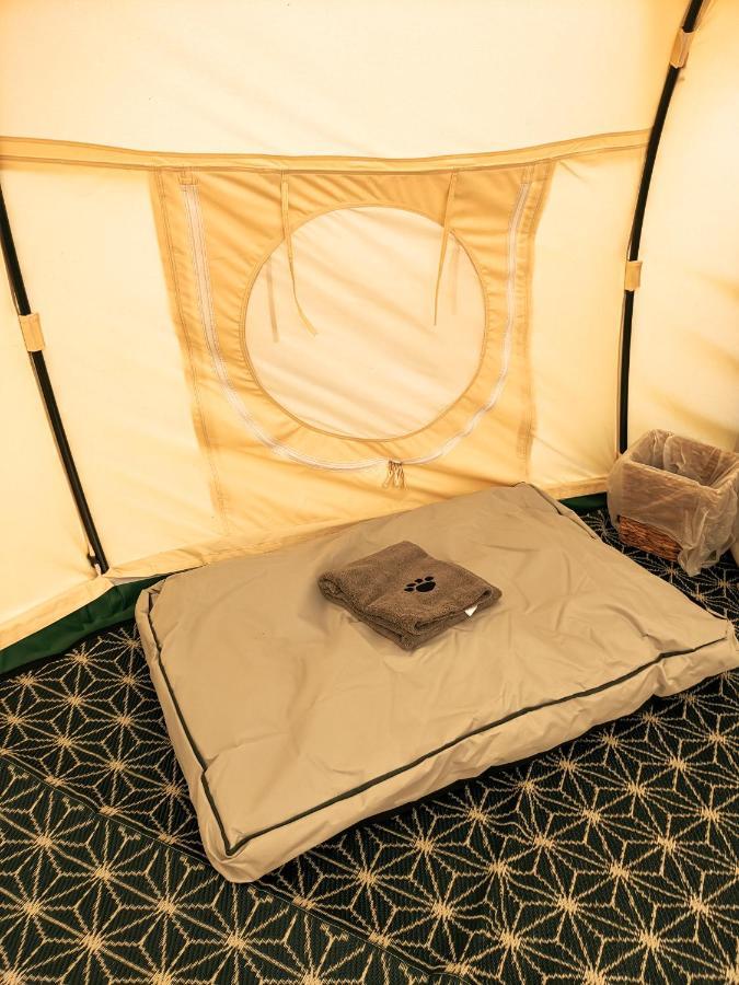 Immaculate Bell Tent Retreat North Devon بيدفورد المظهر الخارجي الصورة